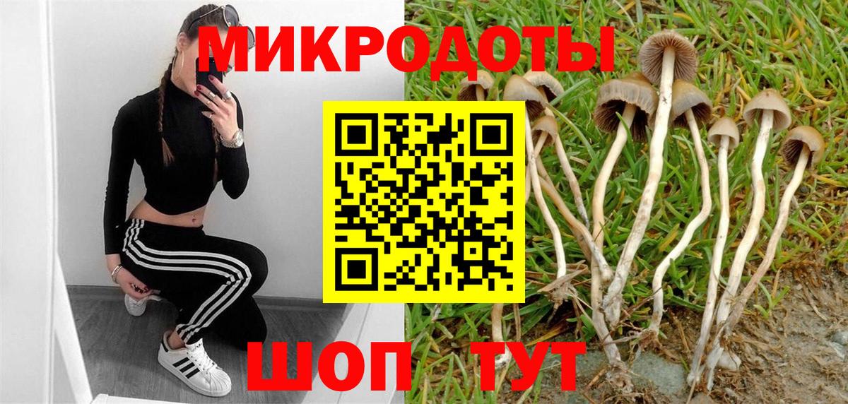 Галлюциногенные грибы Magic Shrooms  Галлюциногенные грибы мухоморы  купить закладку  Магадан  Вход с VPN 
