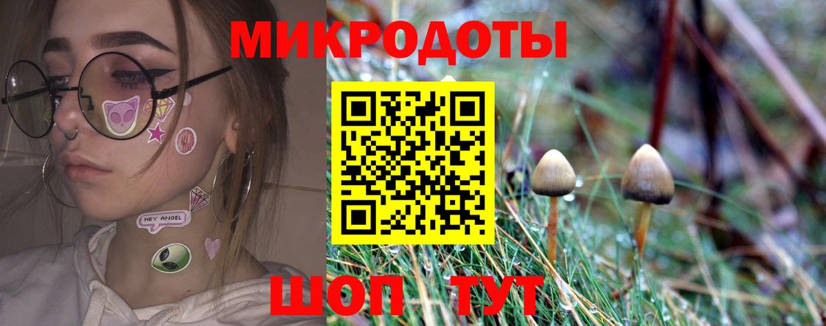 Псилоцибиновые грибы Psilocybine cubensis Магадан